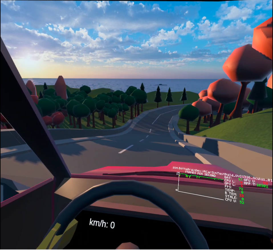 VR-CarSim